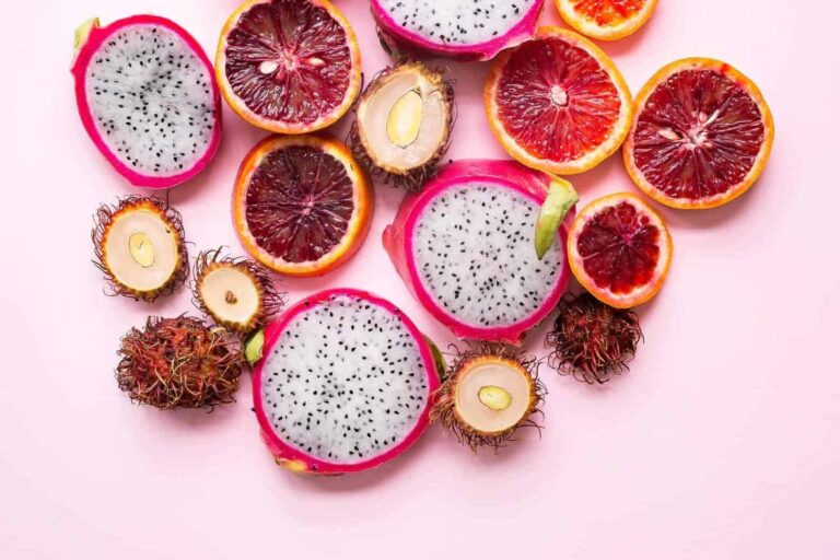 A Tradition of Excellence: Why Pakistani Dental Instruments are Trusted Worldwide